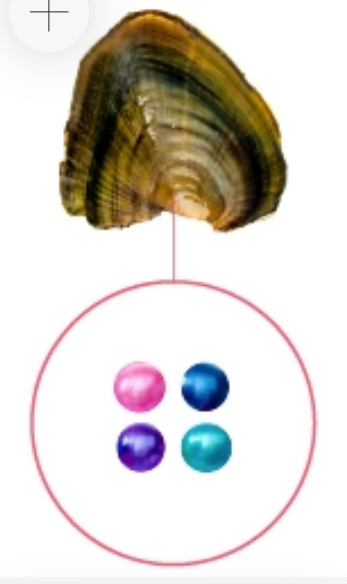 Quadruplet Mini Pearls