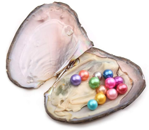 Ten Pearl Oyster Opening