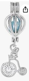 Bike Charm Cage