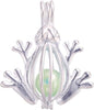 Frog Cage