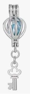 Key Charm Cage