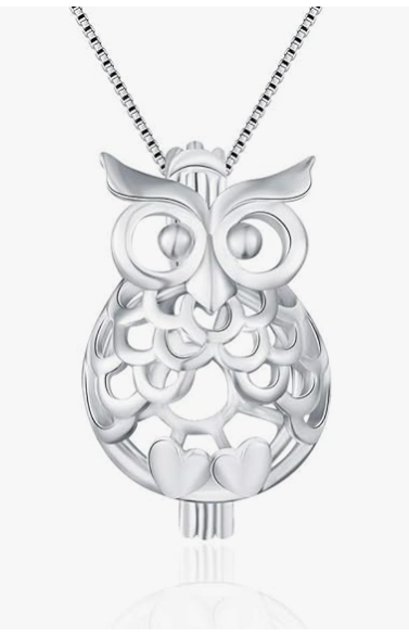 Fuzzy Owl Cage