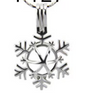 Snowflake Cage