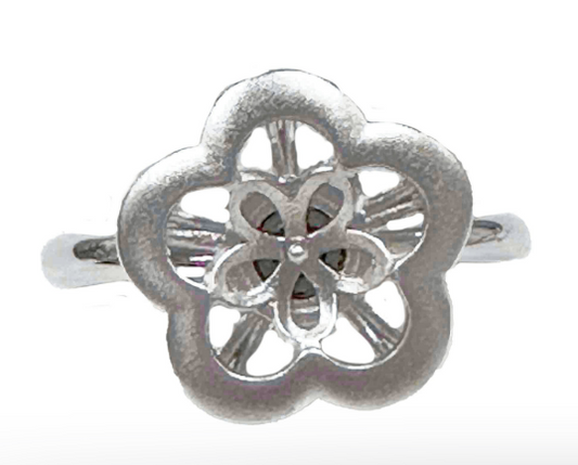 Spinner Ring